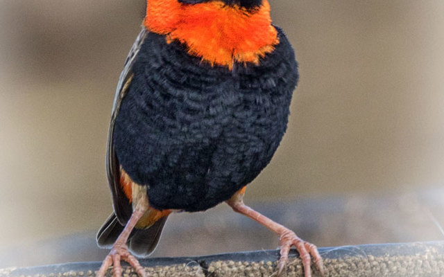 out16_1542796945_1576758979