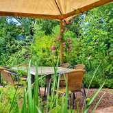 Garden - La Trattoria - Stanford