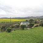 Napier Town Napier Town