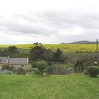 Napier Town Napier Town