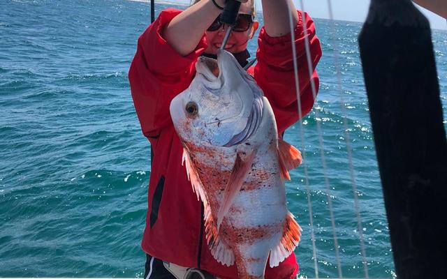 WhatsApp_Image_2019_12_27_at_15.51.08_1577694746