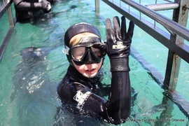 Daily Blog 31 December 2019 | White Shark Diving Gansbaai