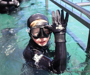 Daily Blog 31 December 2019 | White Shark Diving Gansbaai