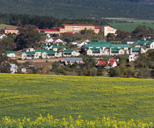 Why You Should Retire In Napier