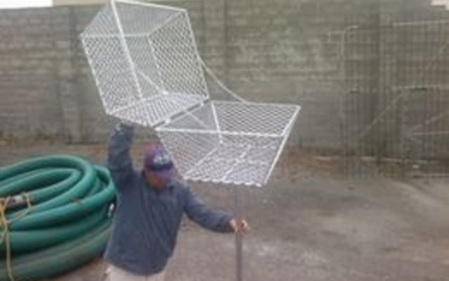 WhatsApp_Image_2020_01_14_at_17.22.09_2_1579069392