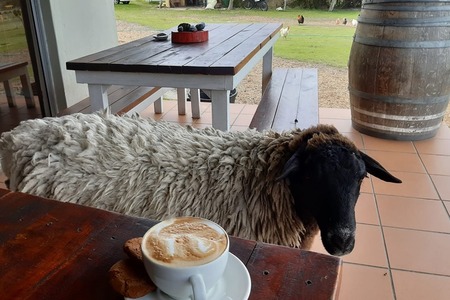 72421519_2454079461373531_2582656090982318080_n_1579079484