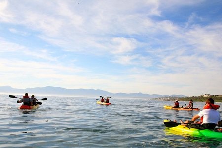 Fun for the whole family - Kayaking