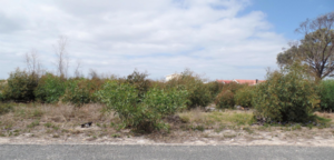 875m² Vacant Land For Sale In Franskraal