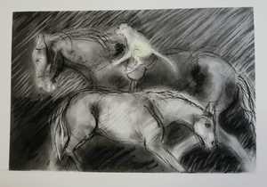 Recent Charcoal Drawings