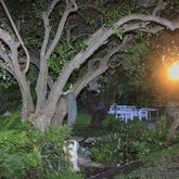 Gansbaai - Blue Goose - The Garden