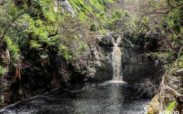 bettys_bay_things_to_do_harold_porter_botanical_garden_waterfall_1572353061_1_1579757393