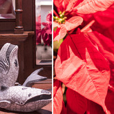 Gansbaai - Blue Goose - Decor