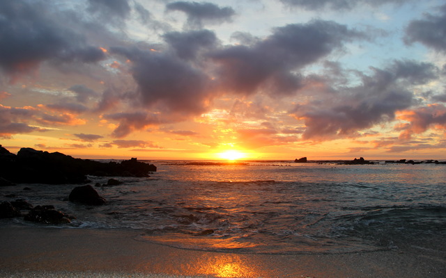 Gansbaai & Pearly Beach Horse Trails Gansbaai & Pearly Beach Horse Trails