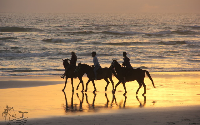 Gansbaai & Pearly Beach Horse Trails