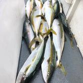 Deep Sea Fishing - Awesome Charters - Agulhas/Struisbaai 