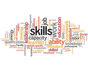 Skills Development Levy