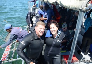 Daily Blog 28 January 2020 | Shark Cage Diving in South Africa