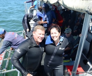 Daily Blog 28 January 2020 | Shark Cage Diving in South Africa