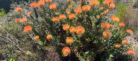 WhatsApp_Image_2019_12_05_at_10.35.11_1580999720