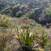 Stanford - Beloftebos Trails and Adventures 