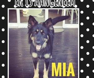Kogh Family Adopted Mia