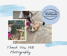 Stunning New Photos of our Animals - MB Photography