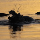 Guided Tour - Nuwejaars Wetlands Special Management Area - Xplorio™ Bredasdorp