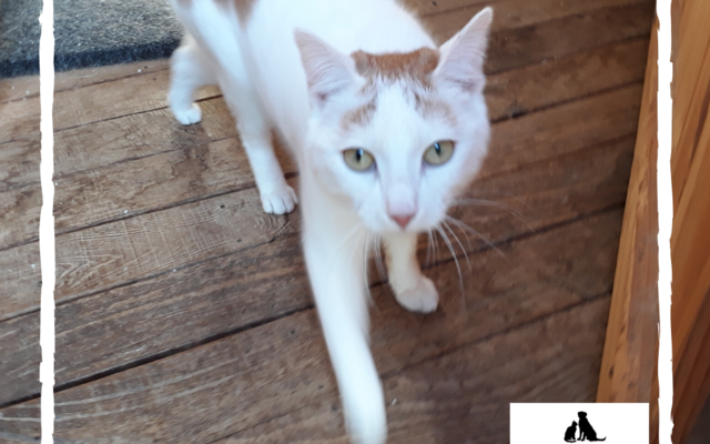 VvU2C2fw_1581518280 VvU2C2fw_1581518280