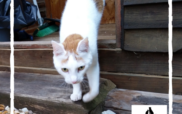 mKV27J4w_1581518281 mKV27J4w_1581518281