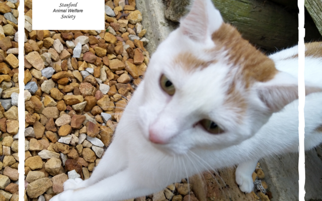 nPcUtJ7Q_1581518282 nPcUtJ7Q_1581518282