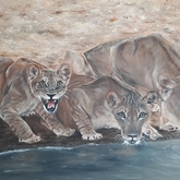 Art for Sale - Linda Budde_Artist - Gansbaai