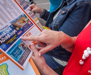 The BlouBlad Will Change Its Format