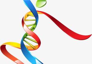 Employee Wellness Introduction Breakfast - 10 March 2020