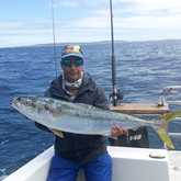 Geelstert - Awesome Charters - Agulhas/Struisbaai