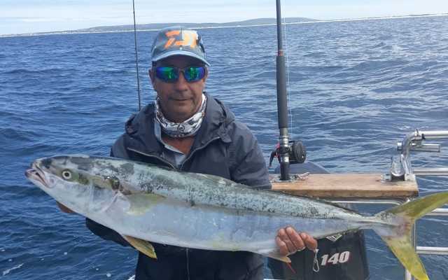 WhatsApp_Image_2020_02_14_at_19.44.10_1__1581932362