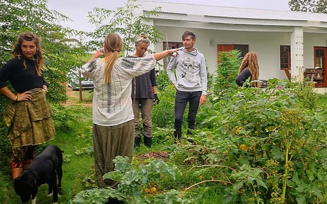 84398856_1062177617473672_6978887377108336640_n_1582187240