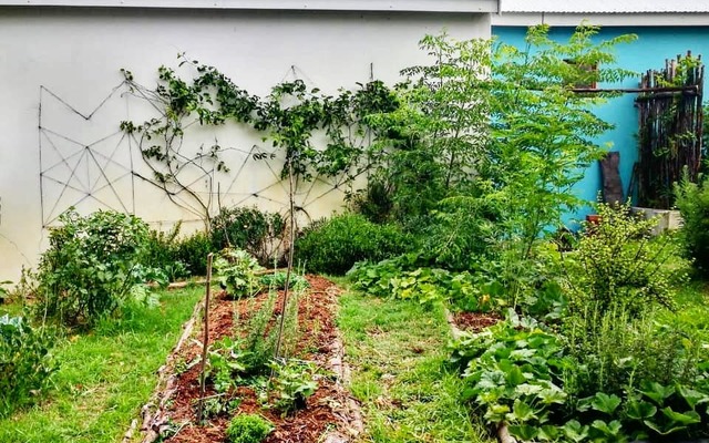 85221669_1062177704140330_198104833952055296_n_1582187242