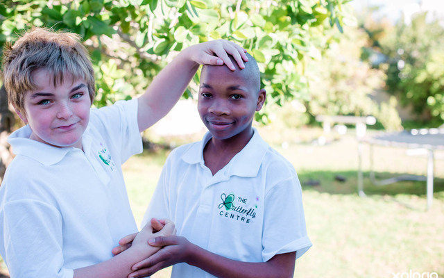 Butterfly_centre_butterfly_friends_1528900688_1582209499