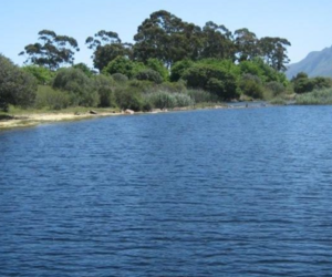 Stanford & Surrounds