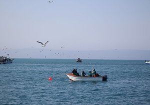 Save Shark Eco-Tourism in Gansbaai, South Africa