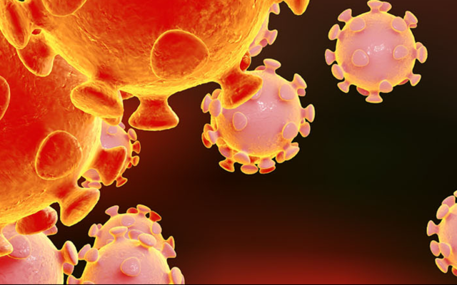 Covid19_banner_1584452213