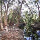 Stanford MTB Classic - Beloftebos Trails and Adventures - Stanford