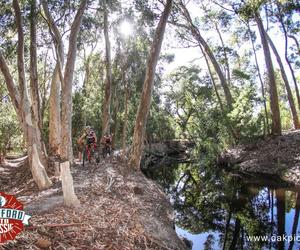 New MTB Single Tracks