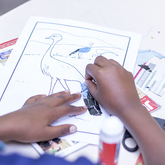 Agulhas - Zoetendal Akademie - Cat Education Facility