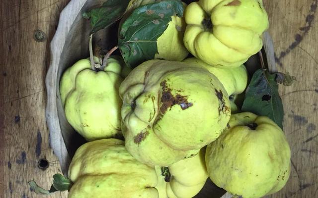 WhatsApp_Image_2020_03_18_at_09.20.06_1584531988