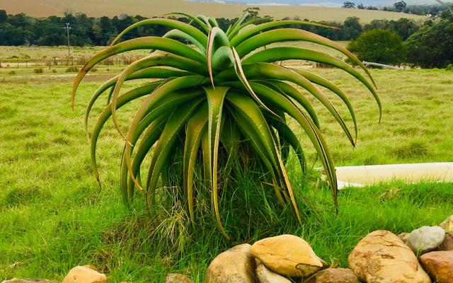 WhatsApp_Image_2020_03_18_at_09.20.07_1__1584531987