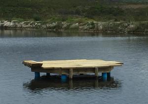 Come Experience Beloftebos Farm Cottages