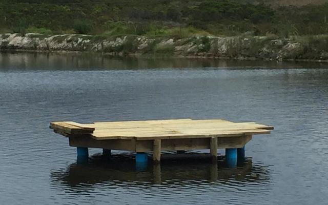 WhatsApp_Image_2020_03_18_at_09.20.07_2__1584531989