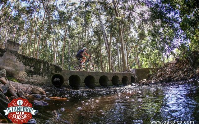 WhatsApp_Image_2020_03_18_at_09.20.09_1584531990