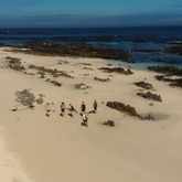 Beach - Pearly Beach Ratepayers - Gansbaai